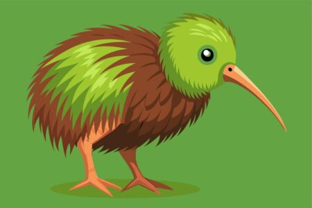 Kiwi Vogel