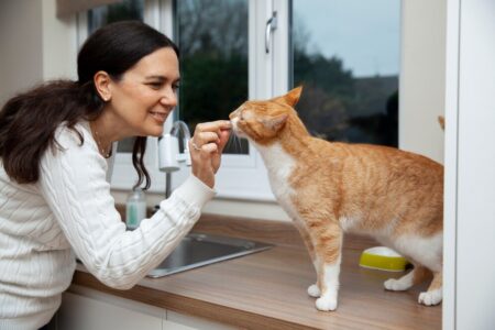 Katze richtig erziehen