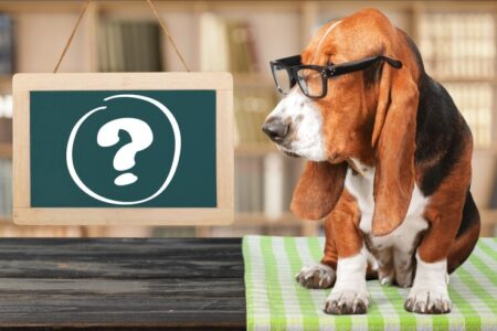 Fakten und Meinungen über Hunde