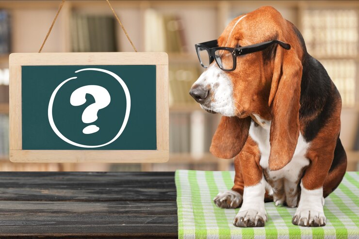 Fakten und Meinungen über Hunde